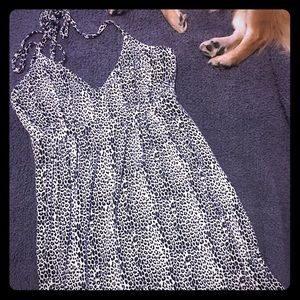 Leopard print Express dress